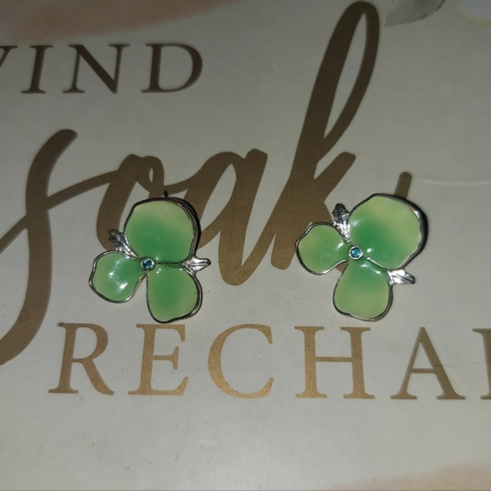 ⭐️SALE Earrings -Silver tone w/ Green Clove/Flower & Sm blue gem in middle